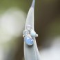 Chalcedony, Larimar, Topaz and Moonstone Ring