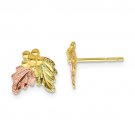 Black Hills Gold 10K Tri Color Leaf Post Earrings