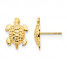 14K Yellow Gold Turtle Post Earrings