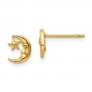 14K Yellow Gold Moon & Star Post Earrings