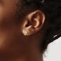 14K Two Tone Gold Moon & Star Post Earrings