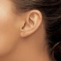 Black Hills Gold 10K Two-Tone Rose Stud Earrings