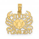 14K Yellow Gold or 14K White Gold 100% Cancer Zodiac Charm