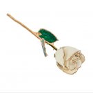 Lacquered White Rose with Gold Trim