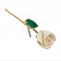 Lacquered White Rose with Gold Trim