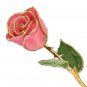 Lacquered Pink Rose with Gold Trim