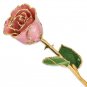 Lacquered Dusty Pink Rose with Gold Trim
