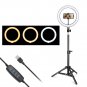 10-Inch Ring Floor Lamp Stand Set