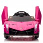 Lamborghini Poison Small Dual Drive Sports Car with 2.4G Remote Rose Red