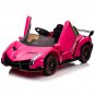 Lamborghini Poison Small Dual Drive Sports Car with 2.4G Remote Rose Red
