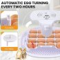 Egg Incubator with Automatic Turning & External Automatic Water Addition