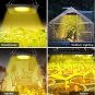 50W Waterproof LED Grow Light