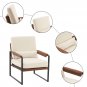 Single Iron Frame Leisure Chair Beige Brown