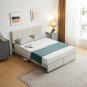 Full Size Platform Bed Frame with 2 Drawers