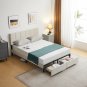 Full Size Platform Bed Frame with 2 Drawers
