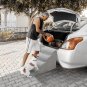 4-Step Dog Steps for Small Dogs and Cats