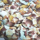 Round Sequin 1.5" Scallop Seashell Print Metallic