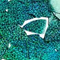 Teal Glitter Hologram Reflective Fishscale Fin 1.5" Couture Sequin Paillettes