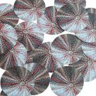 Round Sequin 1.5" Urchin Shell Ocean Sealife Red Gray White Opaque