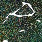 Deep Forest Green Glitter Hologram Fishscale Fin 1.5" Couture Sequin Paillettes