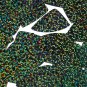 Deep Forest Green Glitter Hologram Fishscale Fin 1.5" Couture Sequin Paillettes
