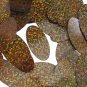 Brown Sequin Glitter Hologram Oval 1.5 inch Couture Paillettes Made in USA