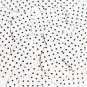 Navette Leaf Sequin 1.5" Black Polka Dot on White Opaque
