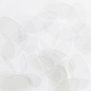 Ellipse Sequin 1.5" Crystal Clear Transparent See-Thru