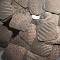 Square Diamond Sequin 1.5" Deep Brown Distressed Crocodile Print Metallic
