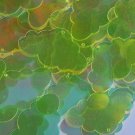 Lime Yellow Crystal Iridescent Cloud 1.5" Couture Sequin Paillette Made in USA