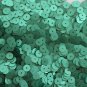 6mm Flat SEQUIN PAILLETTES ~ Light GREEN Matte SILK FROST ~ Made in USA