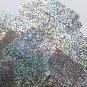 Silver Glitter Hologram Reflective Sequins Rectangle Long 1.5" Couture Paillette