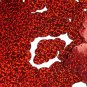 Red Glitter Hologram Cloud 1.5" Couture Sequin Paillettes. Made in USA