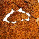 Orange Glitter Hologram Cloud 1.5" Couture Sequin Paillettes. Made in USA