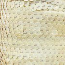 Lt Beige Iris Rainbow Sequin Trim 6mm 1/4" wide stitched Strung by the yard 15'