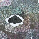 Silver Glitter Hologram Cloud 1.5" Couture Sequin Paillettes. Made in USA.