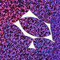 Violet Purple Navette Leaf Sequins Glitter Hologram Metallic 1.5 inch Paillettes