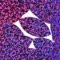 Violet Purple Navette Leaf Sequins Glitter Hologram Metallic 1.5 inch Paillettes