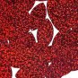 Red Leaf Sequins Glitter Hologram Metallic 1.5 inch Couture Paillettes