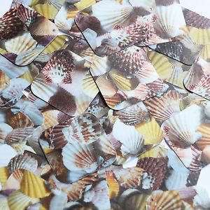 Square Diamond Sequin 1.5" Brown Pink White Seashell Print Opaque