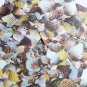 Square Diamond Sequin 1.5" Brown Pink White Seashell Print Opaque