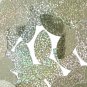 Navette Leaf Apple Green Glitter Hologram Sequins 1.5 inch Couture Paillettes