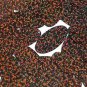 Bronze Brown Sequin Oval Glitter Hologram 1.5 inch Large Couture Paillettes
