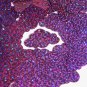 Purple Sequin Cloud Glitter Hologram 1.5 inch Large Couture Paillettes