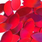 Red Lazersheen Metallic Navette Leaf Sequins 1.5 inch Couture Paillettes