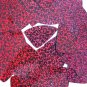 Red Cranberry Sequin Fishscale Fin Glitter Hologram 1.5 inch Couture Paillettes