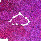 Fuchsia Pink Sequin Cloud Glitter Hologram 1.5 inch Large Couture Paillettes