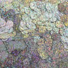 10mm Flat SEQUIN Loose PAILLETTES ~ ULTRA SILVER HOLOGRAM METALLIC ~ Made in USA
