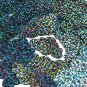Light Blue Sequin Sky Cloud Glitter Hologram 1.5 inch Large Couture Paillettes