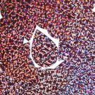 Pink Sequin Teardrop Glitter Hologram Metallic 1.5 inch Large Couture Paillette